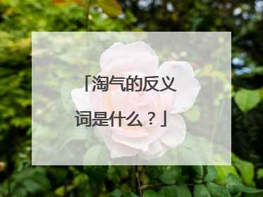 淘气的反义词是什么？