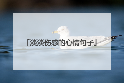 淡淡伤感的心情句子