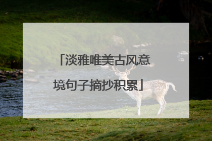 淡雅唯美古风意境句子摘抄积累