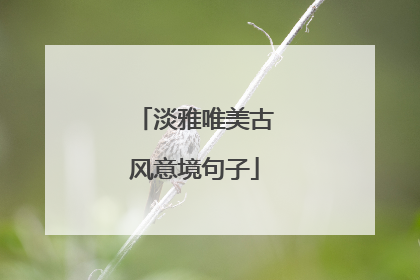 淡雅唯美古风意境句子