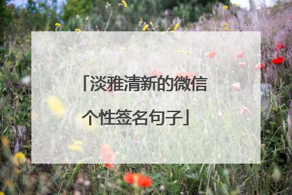 淡雅清新的微信个性签名句子