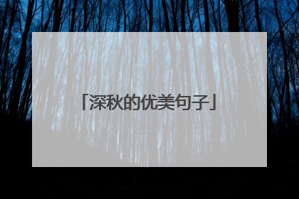 深秋的优美句子