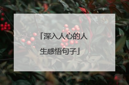深入人心的人生感悟句子