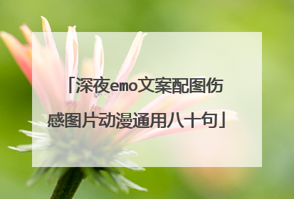 深夜emo文案配图伤感图片动漫通用八十句