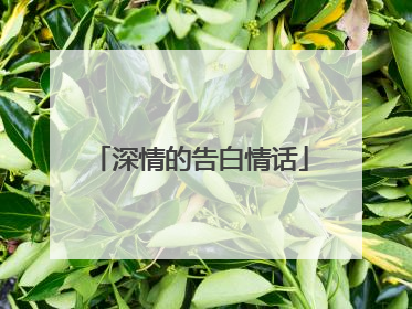 深情的告白情话