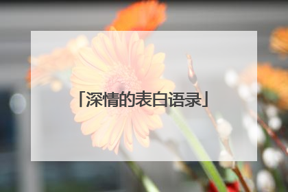 深情的表白语录