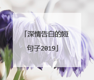 深情告白的短句子2019