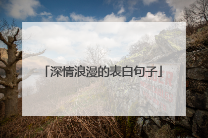 深情浪漫的表白句子