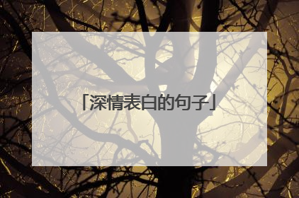 深情表白的句子
