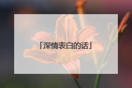 深情表白的话