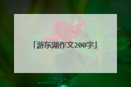游东湖作文200字