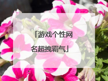 游戏个性网名超拽霸气