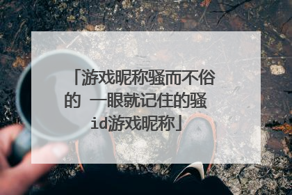 游戏昵称骚而不俗的 一眼就记住的骚id游戏昵称
