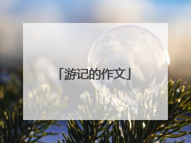 游记的作文