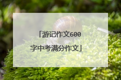 游记作文600字中考满分作文