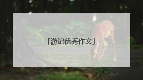 游记优秀作文