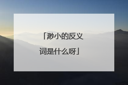 渺小的反义词是什么呀