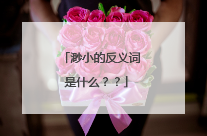 渺小的反义词是什么??