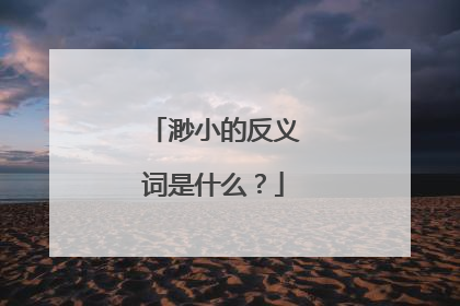 渺小的反义词是什么?