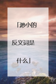 渺小的反义词是什么