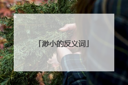 渺小的反义词