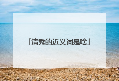 清秀的近义词是啥