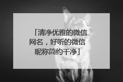 清净优雅的微信网名,好听的微信昵称简约干净