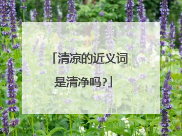 清凉的近义词是清净吗?