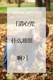 清心咒什么意思啊?
