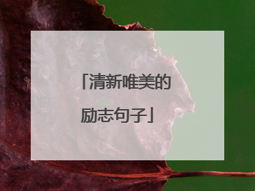清新唯美的励志句子