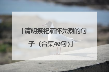 清明祭祀缅怀先烈的句子 (合集40句)