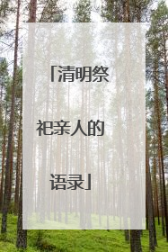 清明祭祀亲人的语录