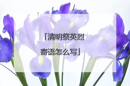 清明祭英烈寄语怎么写