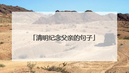 清明纪念父亲的句子