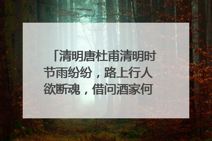 清明唐杜甫清明时节雨纷纷，路上行人欲断魂，借问酒家何处有，牧童遥指杏花村的意思是？