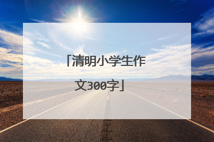 清明小学生作文300字