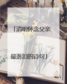 清明怀念父亲最落泪的诗句