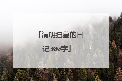 清明扫墓的日记300字