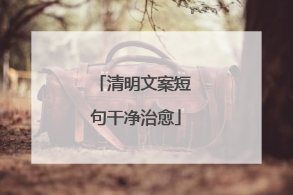 清明文案短句干净治愈