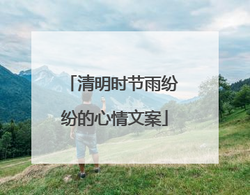 清明时节雨纷纷的心情文案