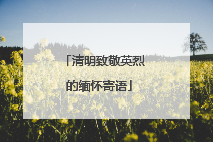 清明致敬英烈的缅怀寄语