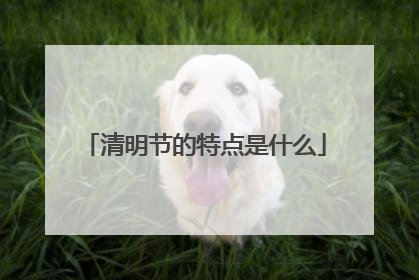 清明节的特点是什么