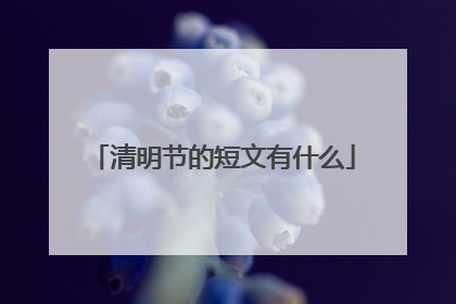 清明节的短文有什么