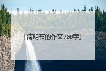 清明节的作文700字