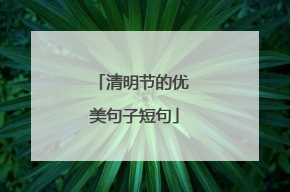 清明节的优美句子短句