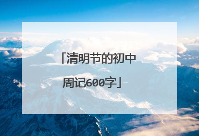 清明节的初中周记600字