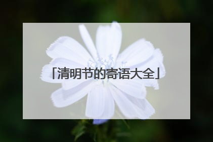 清明节的寄语大全