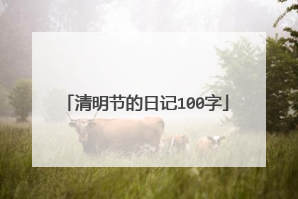 清明节的日记100字
