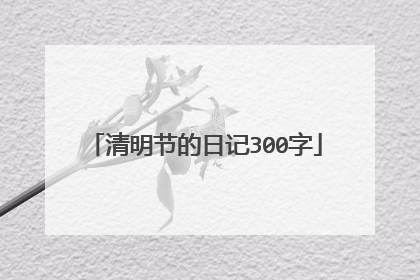 清明节的日记300字