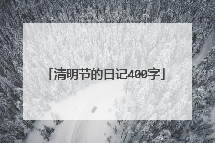清明节的日记400字